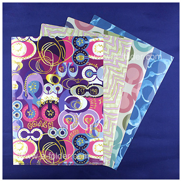 folder-case-022