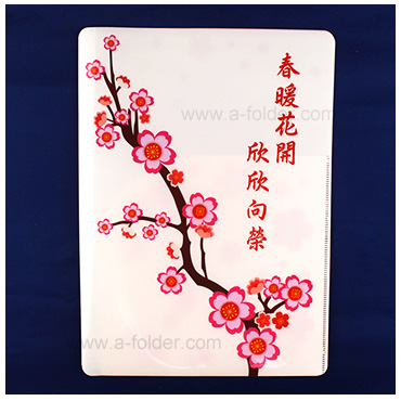 folder-case-066